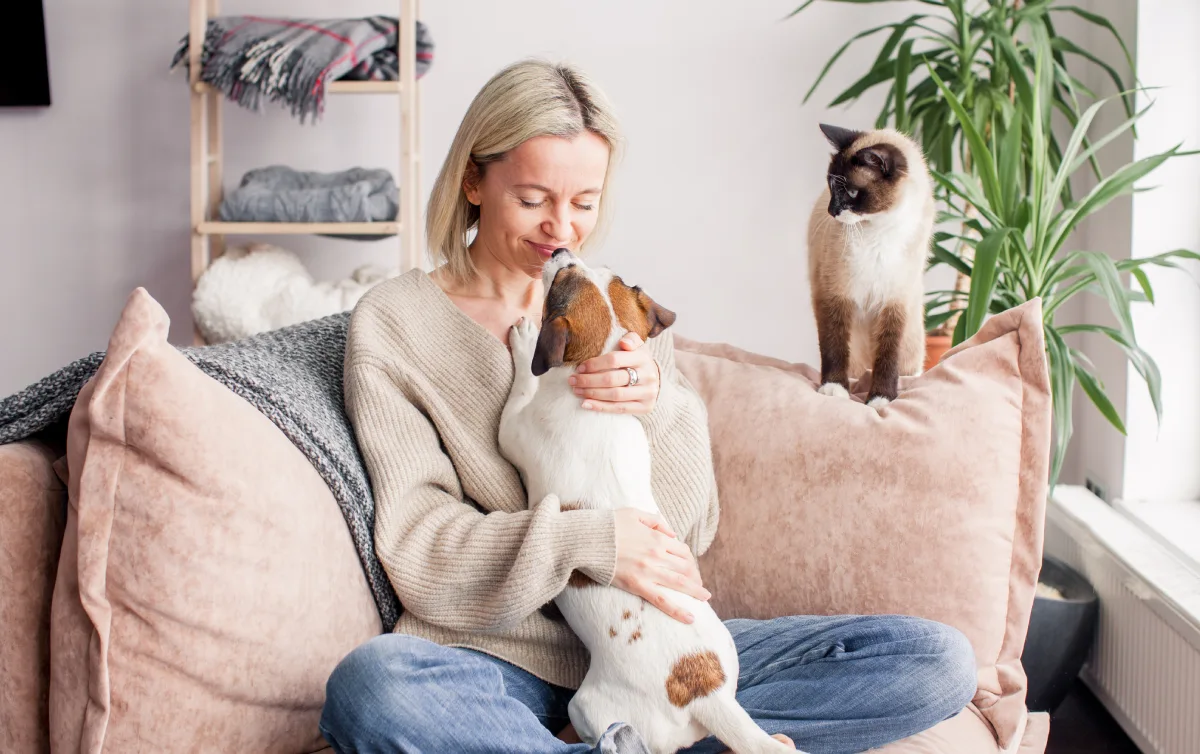 5 Essential Training Tips Every Dog Owner Should Know Thepawsitive